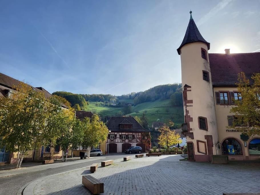 Au Coeur Du Val D'Argent Duplex Atypique A Sainte-Marie-Aux-Mines 아파트 외부 사진